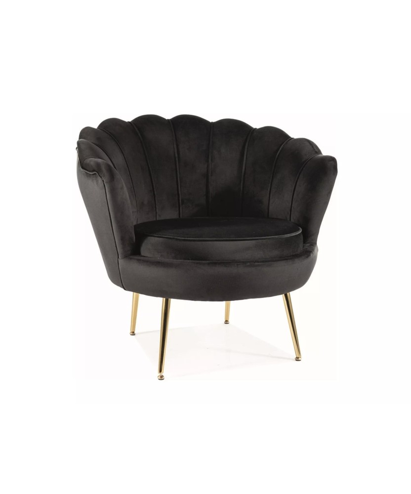 Fotel Camellia 1 Velvet - CAMELLIAV1CZL Fotel Camellia 1 Velvet - CAMELLIAV1CZL